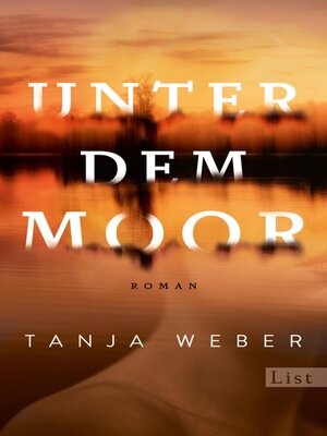 cover image of Unter dem Moor